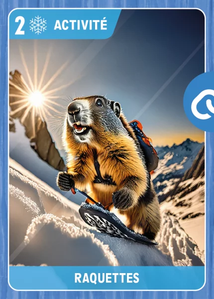 Raquettes