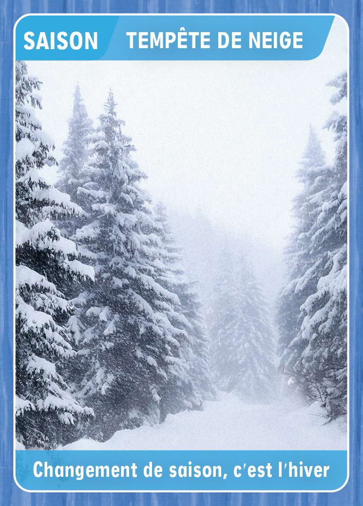 Carte Tempête de neige